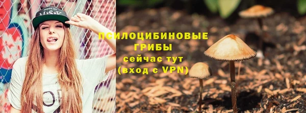 MDMA Premium VHQ Верхний Тагил